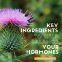 Key Ingredient to Help Balance your Hormones